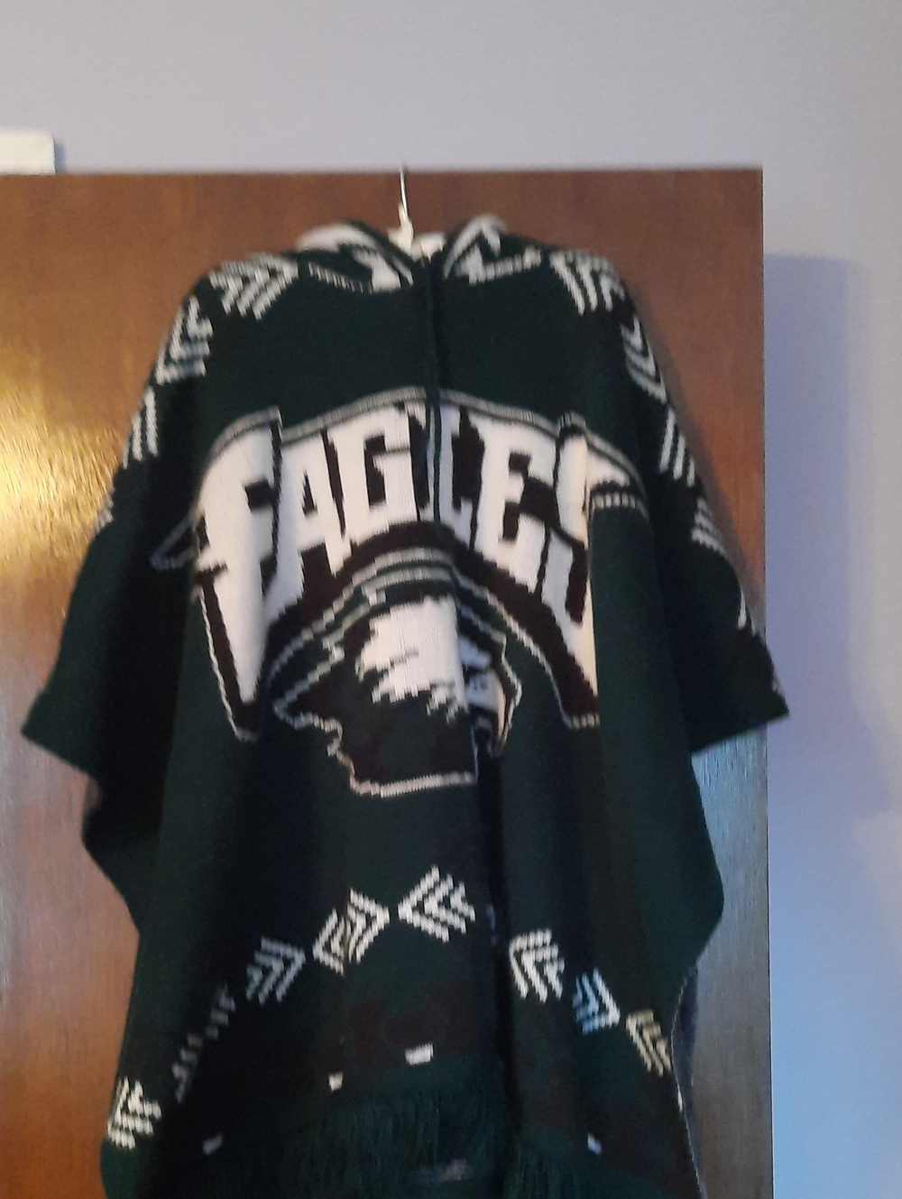 Handmade Philadelphia Eagles Knit Poncho with Fringe and Hood